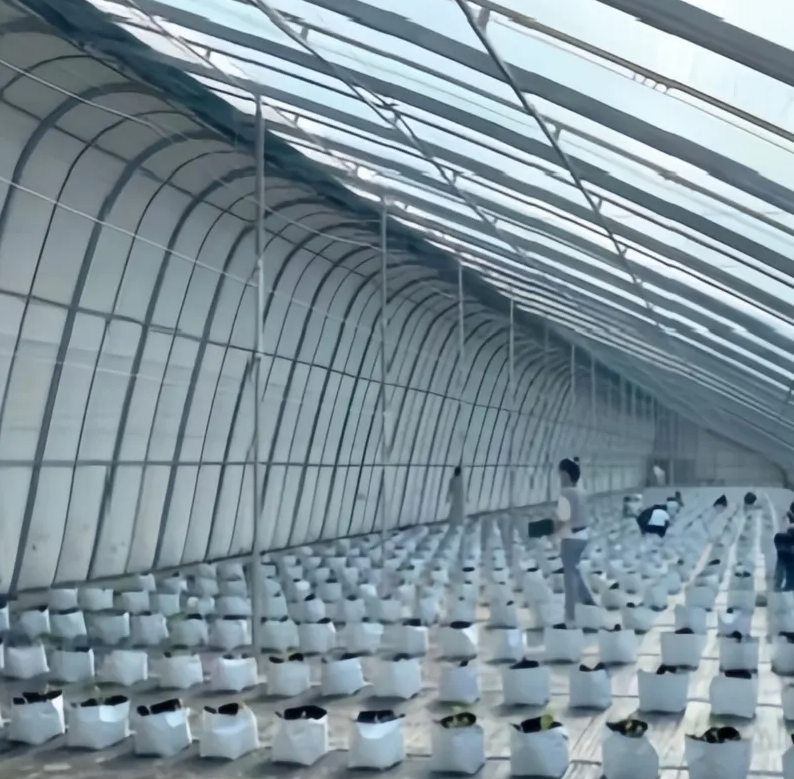 副本-Solar Greenhouse