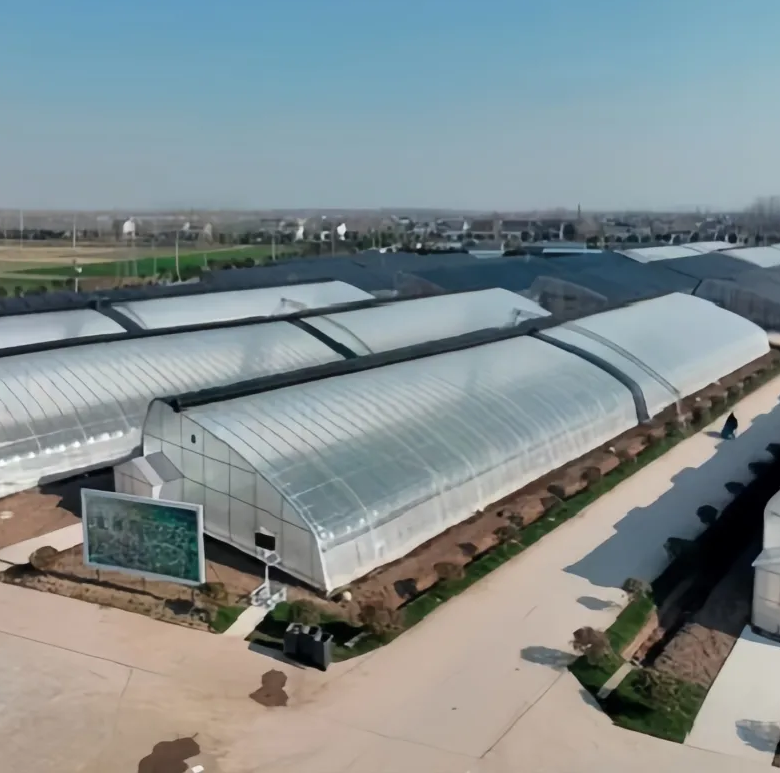 Solar Greenhouse