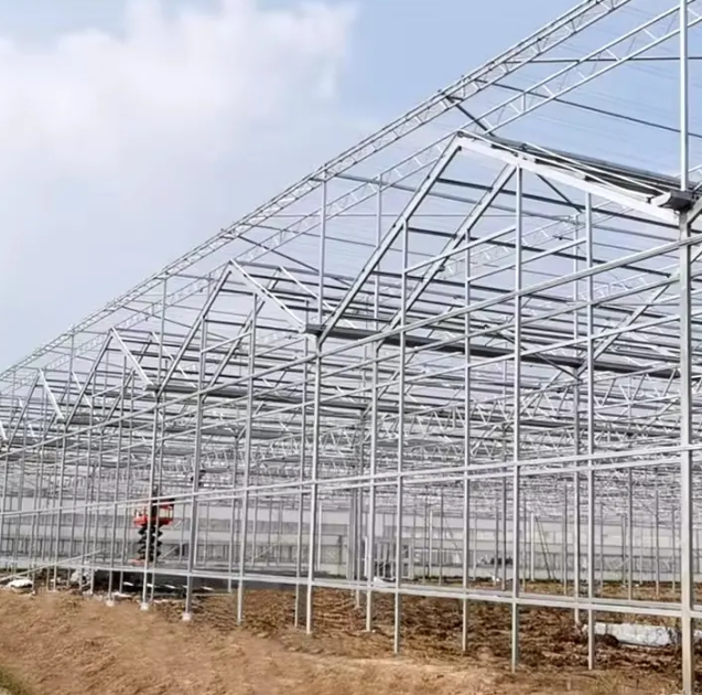 副本-Multi-Span Glass Greenhouse